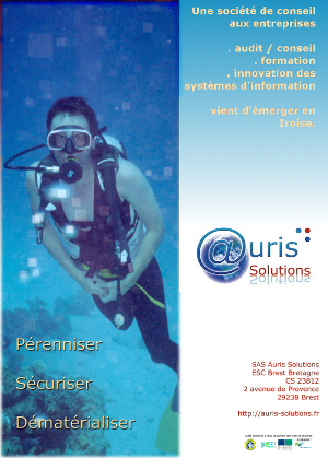 Auris Solutions services informatiqutes brest bretagne